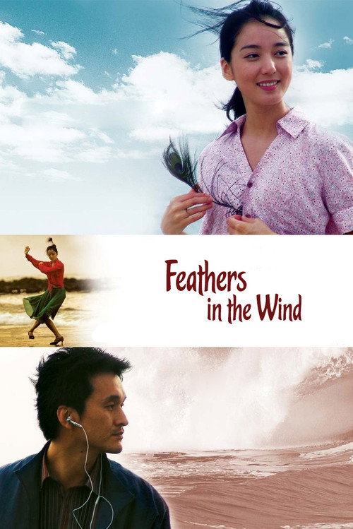 Movie poster for Feathers in the Wind (2005)