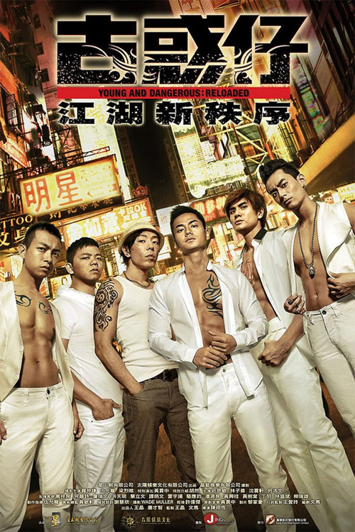 Movie poster for Young and Dangerous: Reloaded (2013)
