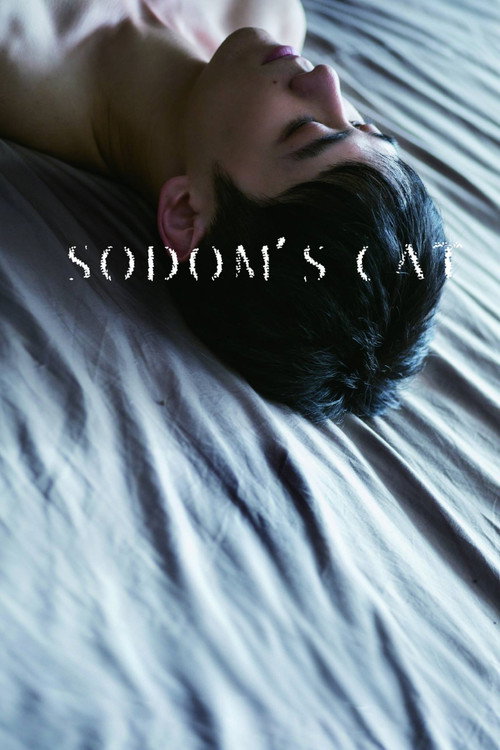 Movie poster for Sodom's Cat (2016)