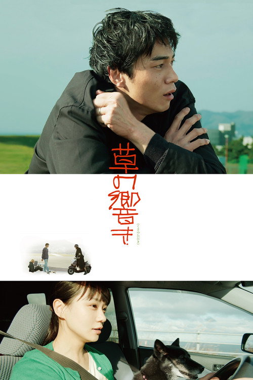 Movie poster for The Sound of Grass (2021)