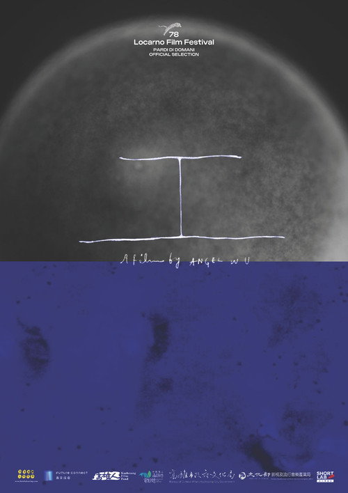 Movie poster for Force Times Displacement (2025)
