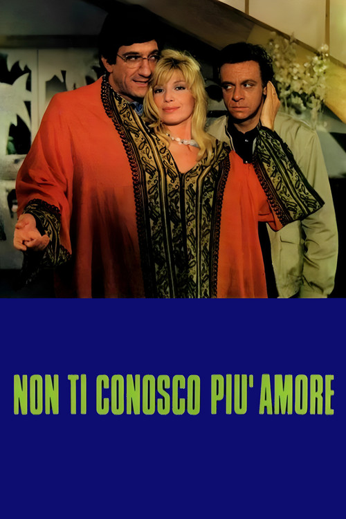 Movie poster for I Don't Understand You Anymore (1980)