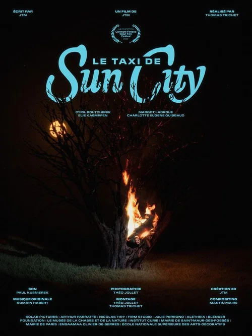 Movie poster for Le taxi de Sun City (2020)