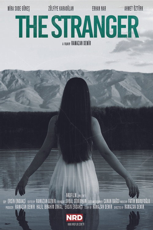Movie poster for The Stranger