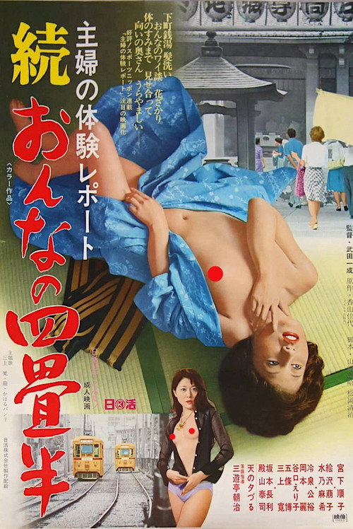 Movie poster for Housewife's Experience: Tenement Apartment 2 (1975)