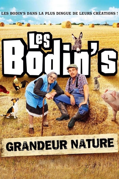 Movie poster for Les Bodin's : Grandeur Nature (@Zenith de Limoges) (2016)