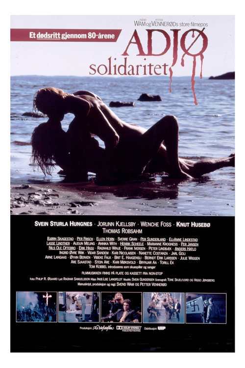 Movie poster for Farewell Illusions (1985)