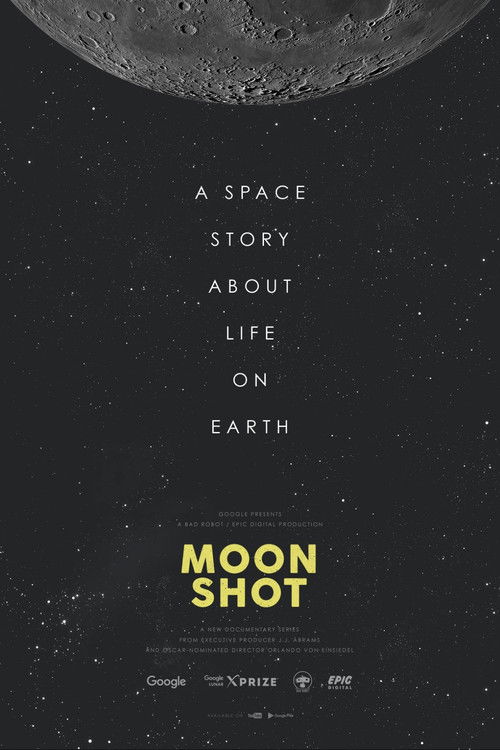 Moon Shot poster