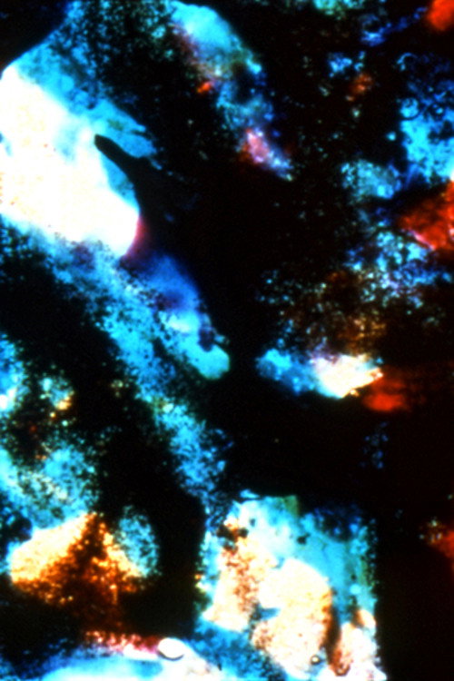 Movie poster for Micro-Garden (2001)
