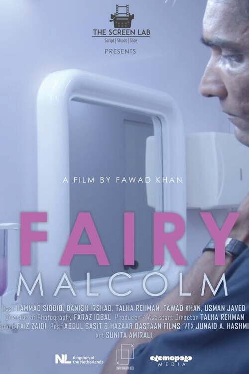 Movie poster for Fairy Malcolm (2021)
