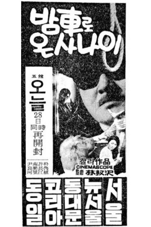 Movie poster for A Man Who Arrived by Night Train (1970)