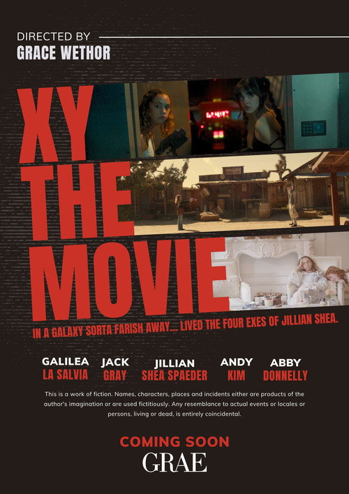 Movie poster for XY