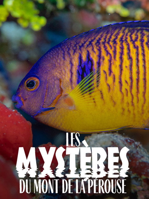 Movie poster for The mysteries of Mont La Pérouse (2021)