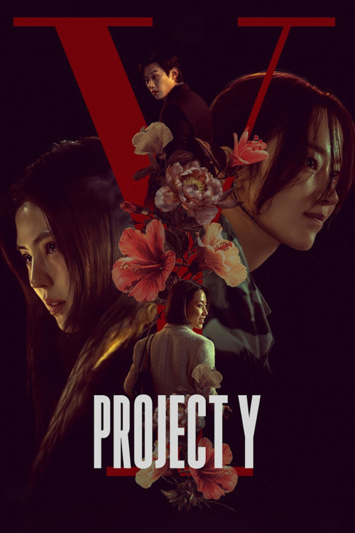 Movie poster for Project Y (2026)
