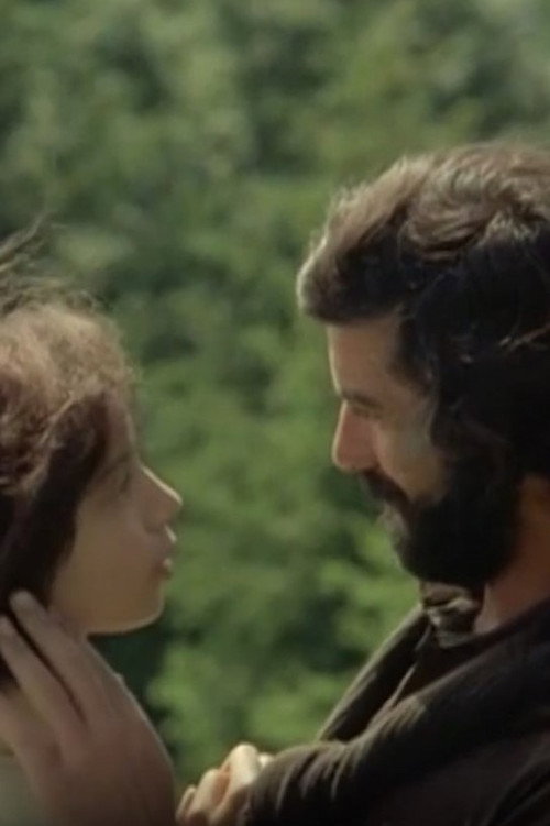 Movie poster for L'ultraviolence dans le cinéma d'Eric Rohmer (2024)