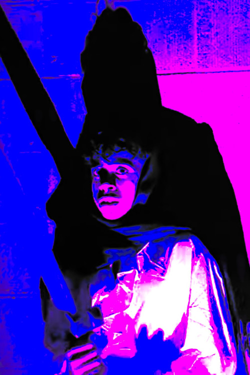Movie poster for The Witch of Ashford Hollow