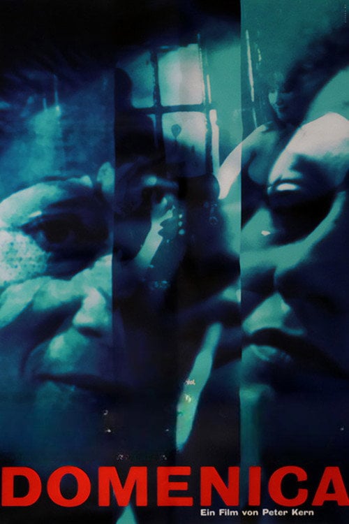 Movie poster for Domenica. Alle kommen, keiner war da (1994)