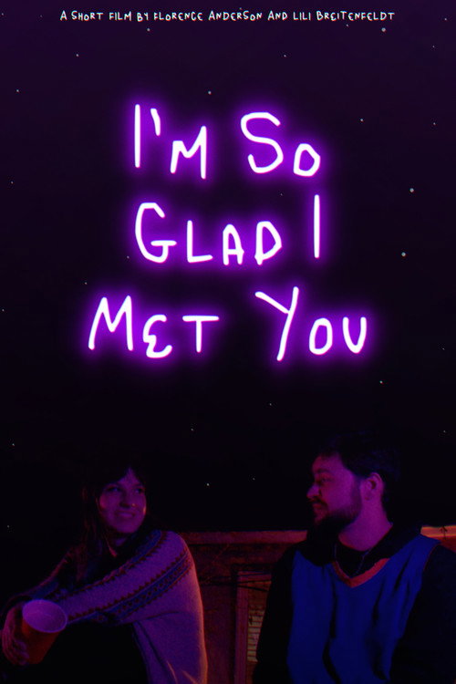 Movie poster for I'm So Glad I Met You