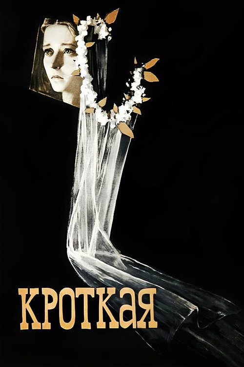 Movie poster for The Meek One (1960)