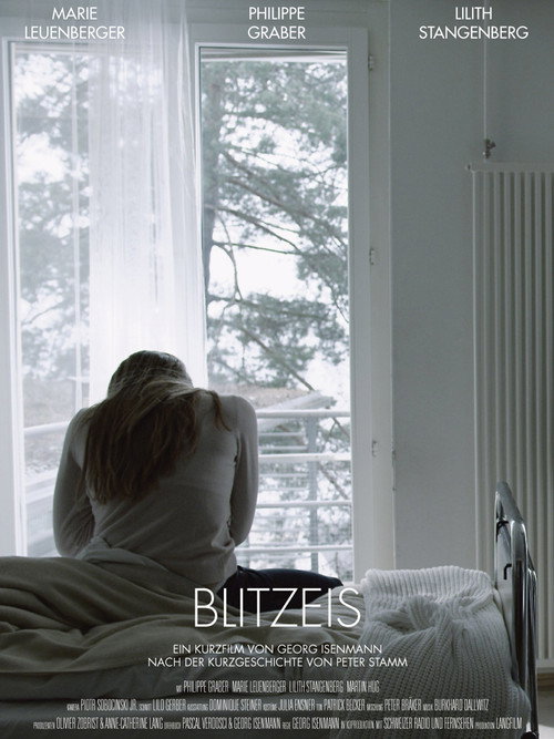 Movie poster for Blitzeis (2012)