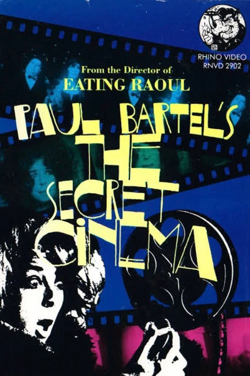 Movie poster for The Secret Cinema (1967)
