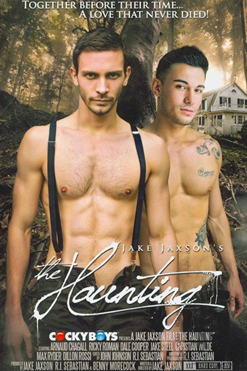 Movie poster for The Haunting (2013)