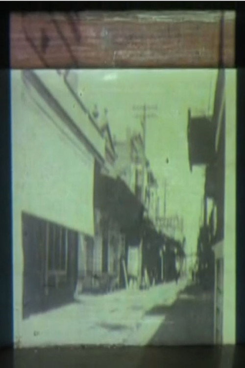 Movie poster for China Alley (2008)
