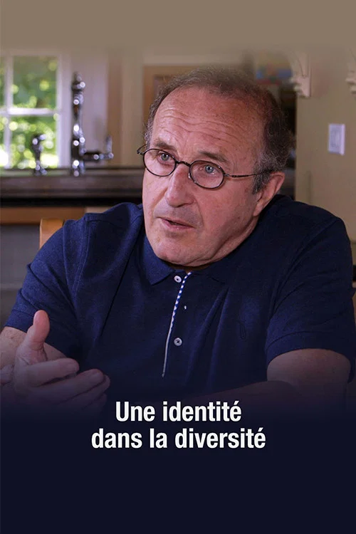 Movie poster for Une identité dans la diversité (2016)