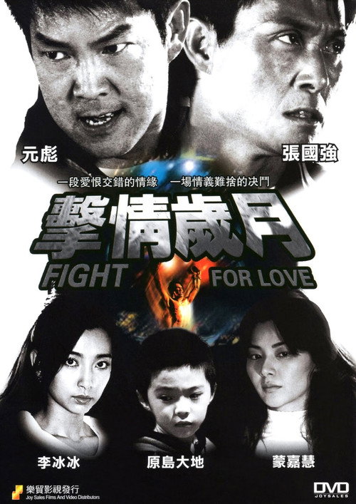 Movie poster for Fight for Love (2007)