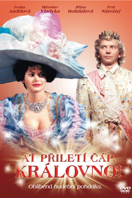 Movie poster for Ať přiletí čáp, královno! (1989)