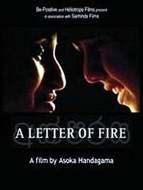 Movie poster for A Letter of Fire (2005)