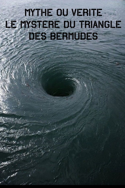 Movie poster for Mythe Ou vérité – Le Mystère Du Triangle Des Bermudes (2006)