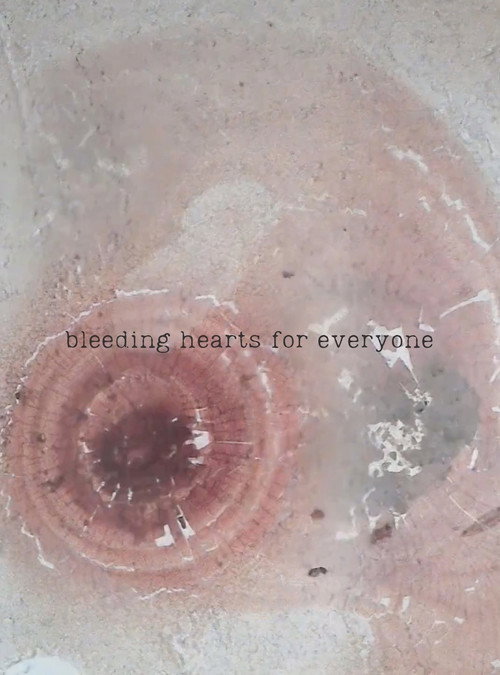 Movie poster for bleeding hearts for everyone