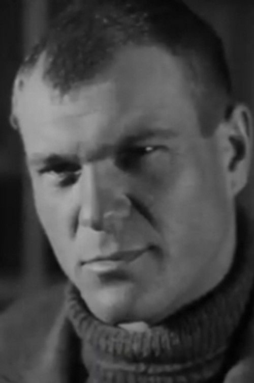 Photo of Vladimir Voyshvillo, Acting