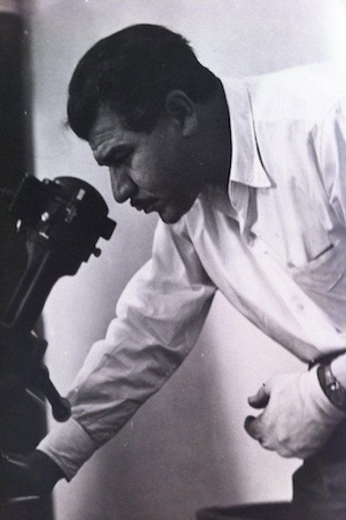 Photo of Yahia Faifq, Directing