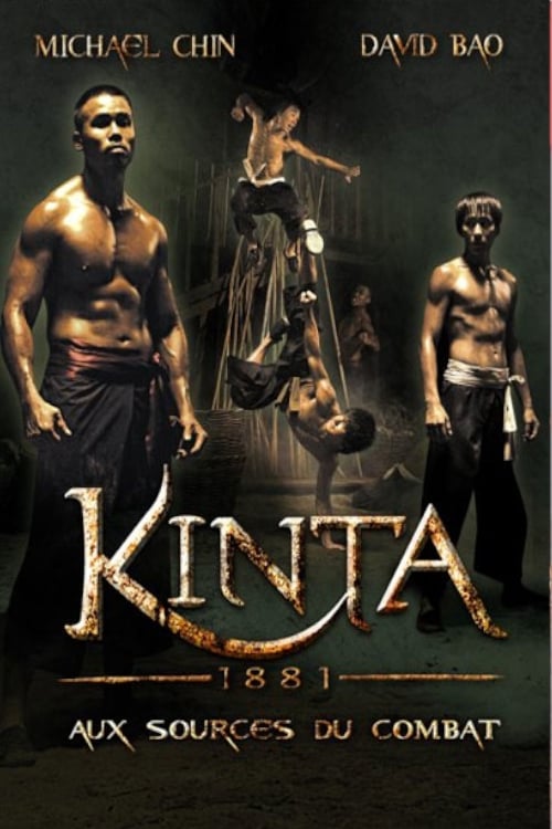 Movie poster for Four Dragons (2008)