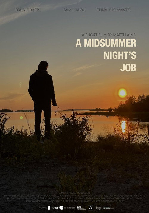 Movie poster for A Midsummer Night's Job (2024)