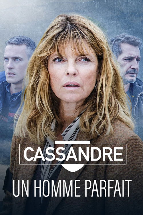 Movie poster for Cassandre - Un homme parfait (2026)