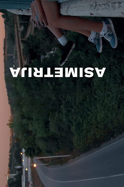 Movie poster for Asymmetry (2019)