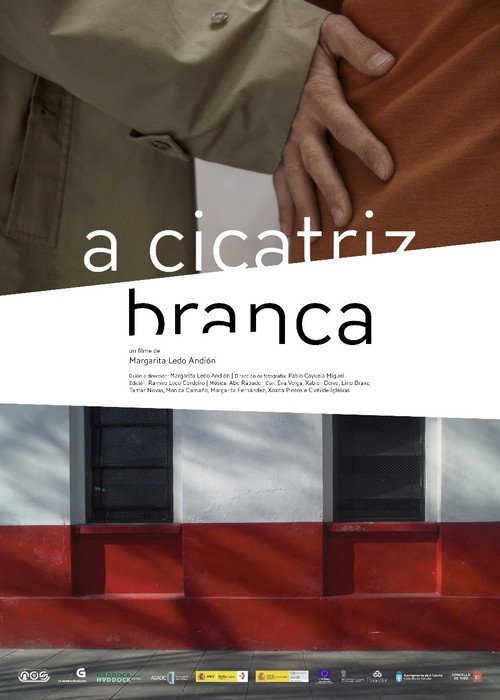Movie poster for A cicatriz branca (2012)