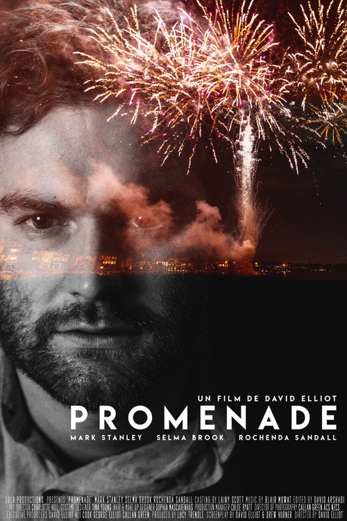Movie poster for Promenade (2019)