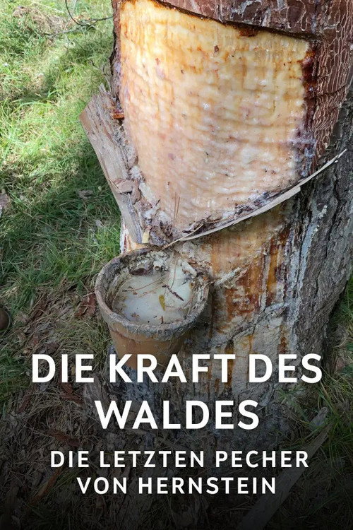 Movie poster for Die Kraft des Waldes - Die letzten Pecher von Hernstein (2025)