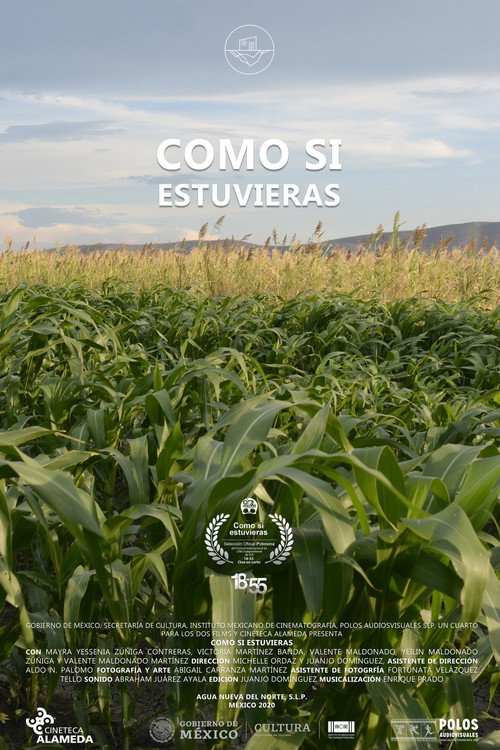 Movie poster for Como Si Estuvieras (2019)