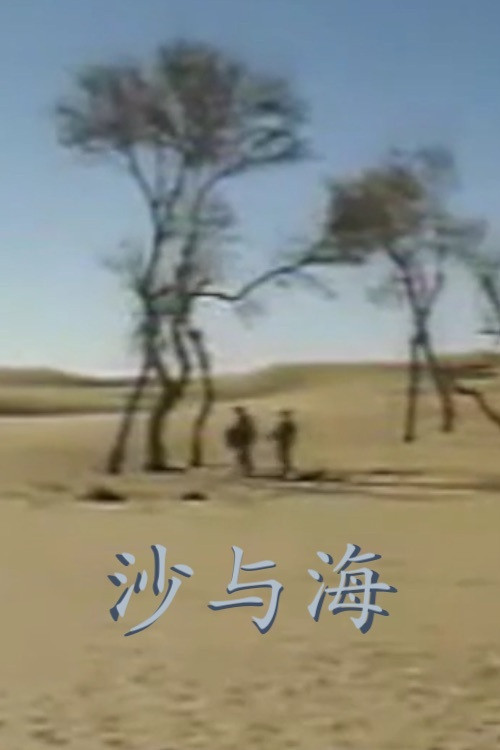 Movie poster for Sand and Sea (1991)