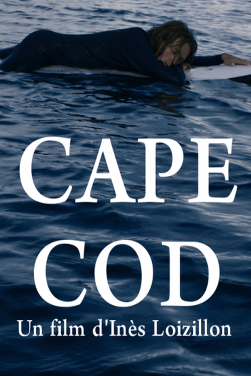 Movie poster for Cape Cod (2017)