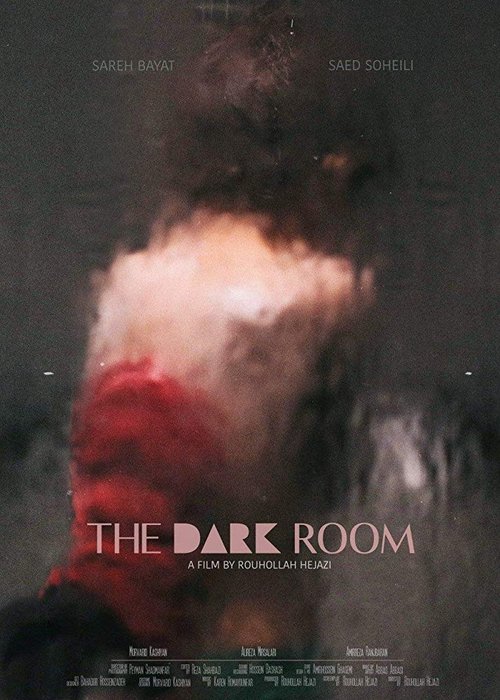 Movie poster for The Dark Room (2018)