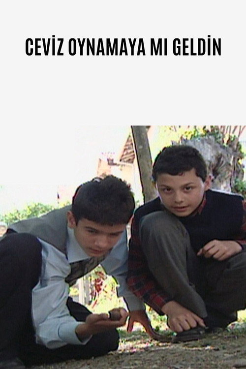 Movie poster for Ceviz Oynamaya Mı Geldin (2007)