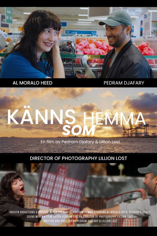 Movie poster for Feels like home (2025)