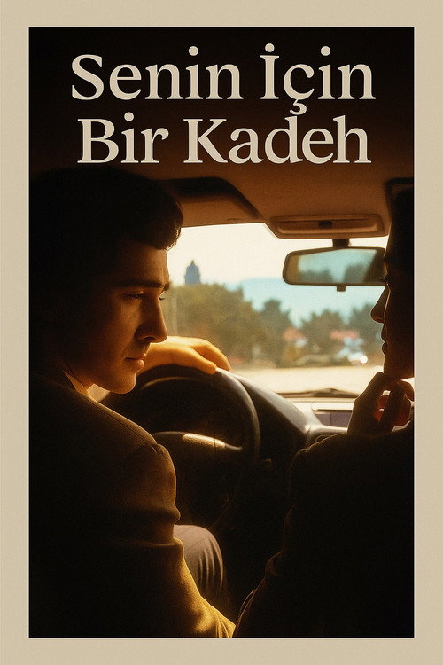 Movie poster for Senin İçin Bir Kadeh (1993)