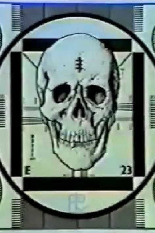 Movie poster for A Message From the Temple (1982)